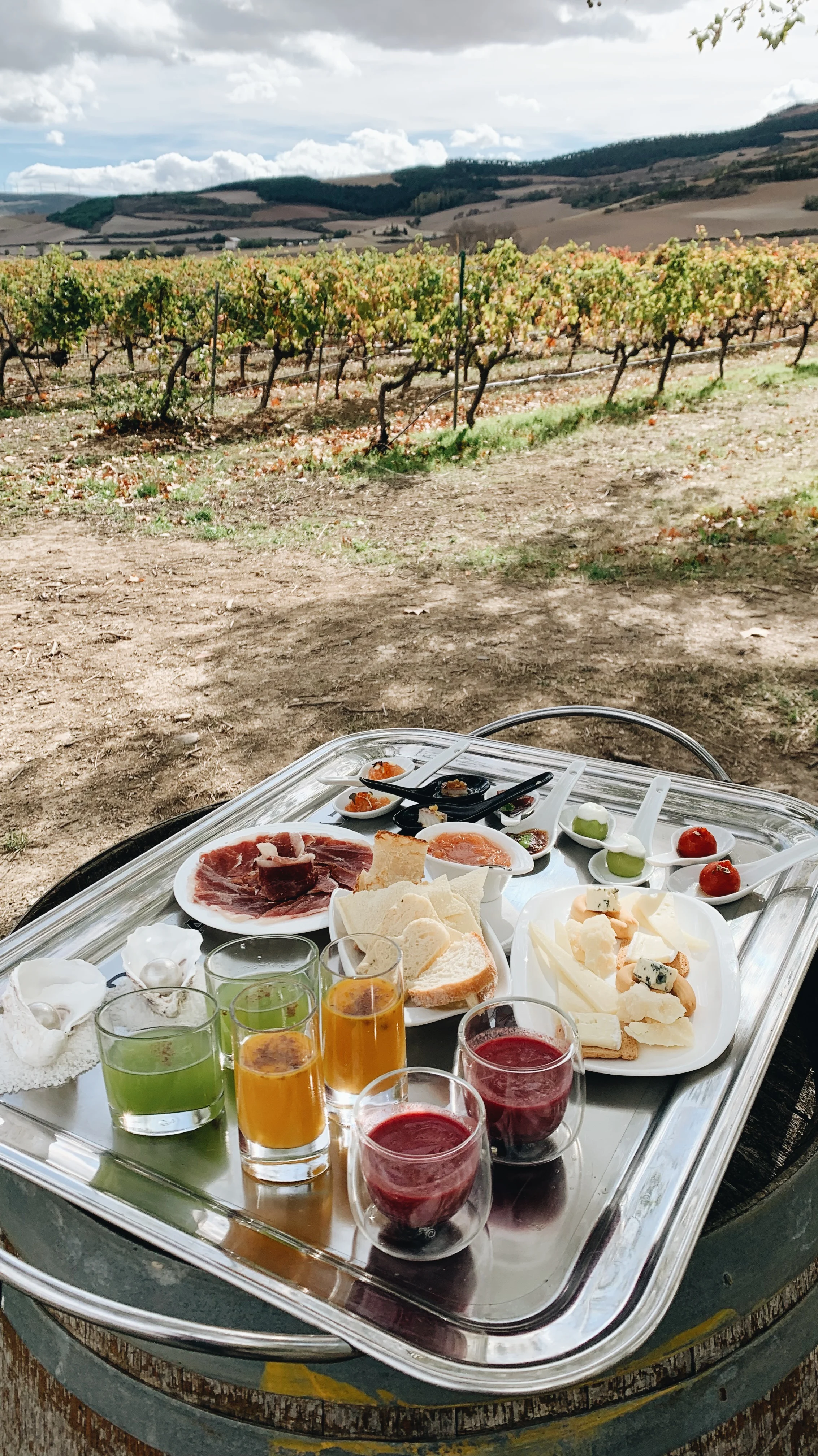 Gastronomía en Bodega Otazu