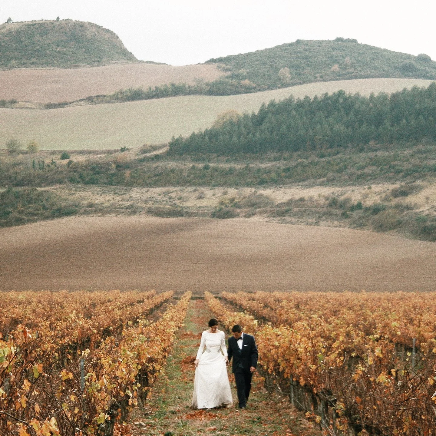 Boda en Otazu 44