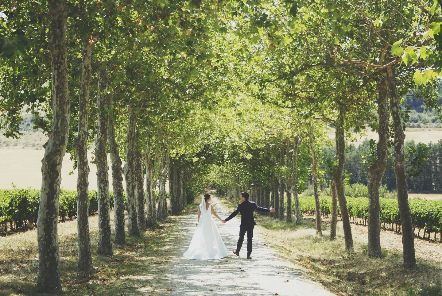 Boda en Otazu 7